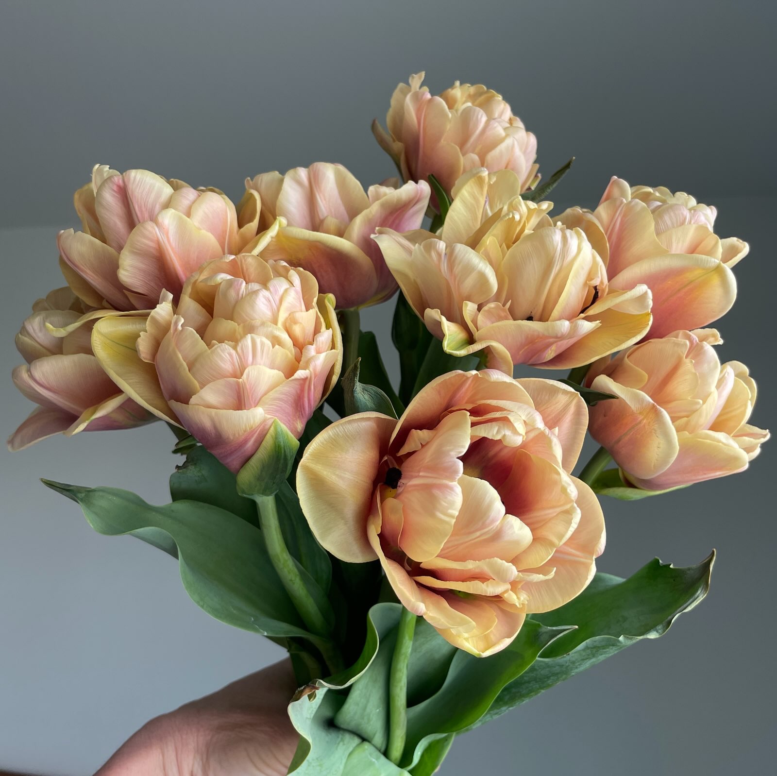 Beautiful flowers from Florage